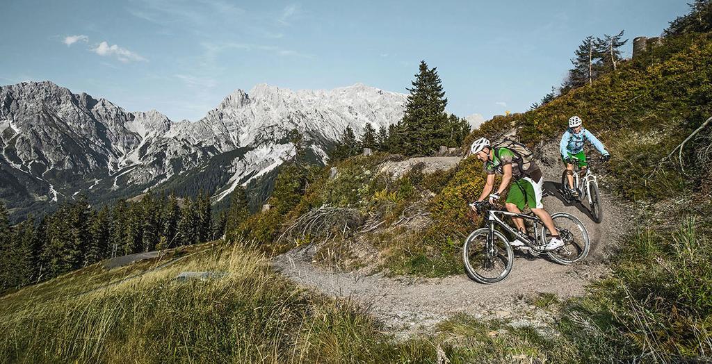 Pension Appartements Alpenblick Maria Alm am Steinernen Meer Eksteriør billede