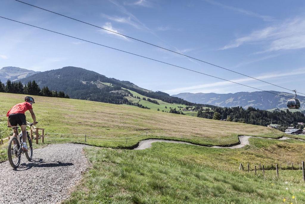 Pension Appartements Alpenblick Maria Alm am Steinernen Meer Eksteriør billede